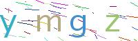 Verify Code