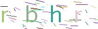 Verify Code