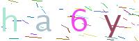 Verify Code