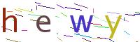 Verify Code