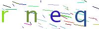 Verify Code