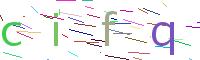 Verify Code