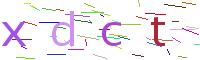 Verify Code