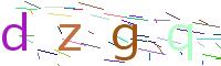 Verify Code