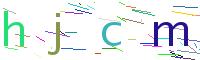 Verify Code