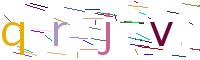 Verify Code
