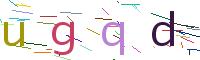 Verify Code