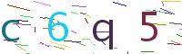 Verify Code