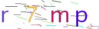Verify Code