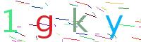 Verify Code