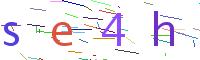 Verify Code