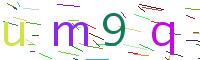 Verify Code