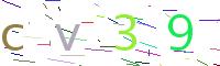 Verify Code