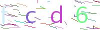 Verify Code