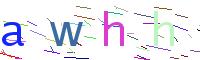 Verify Code