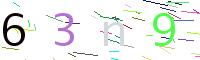 Verify Code