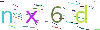 Verify Code