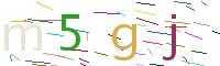 Verify Code