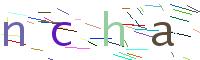 Verify Code
