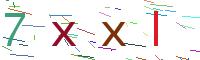 Verify Code