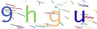 Verify Code