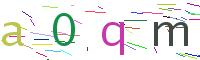 Verify Code