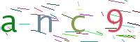 Verify Code