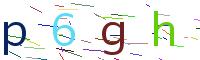 Verify Code