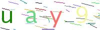 Verify Code