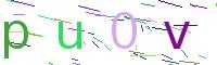 Verify Code