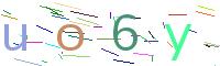 Verify Code