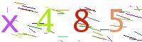 Verify Code