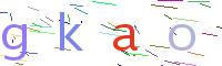 Verify Code