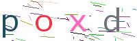 Verify Code
