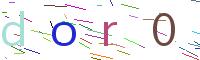 Verify Code